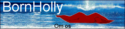 Om os