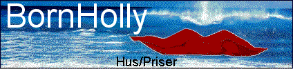 Hus/Priser